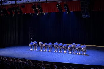 alis zoubida artcarmen